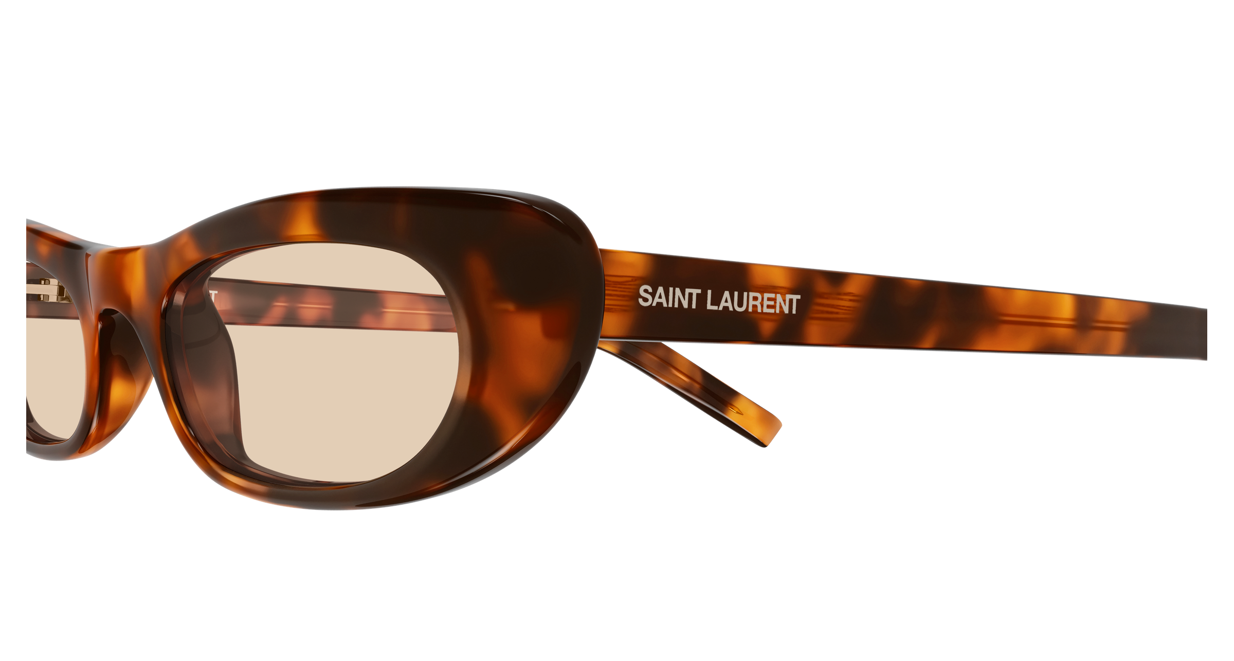 SAINT LAURENT SL 557 SHADE 008 53