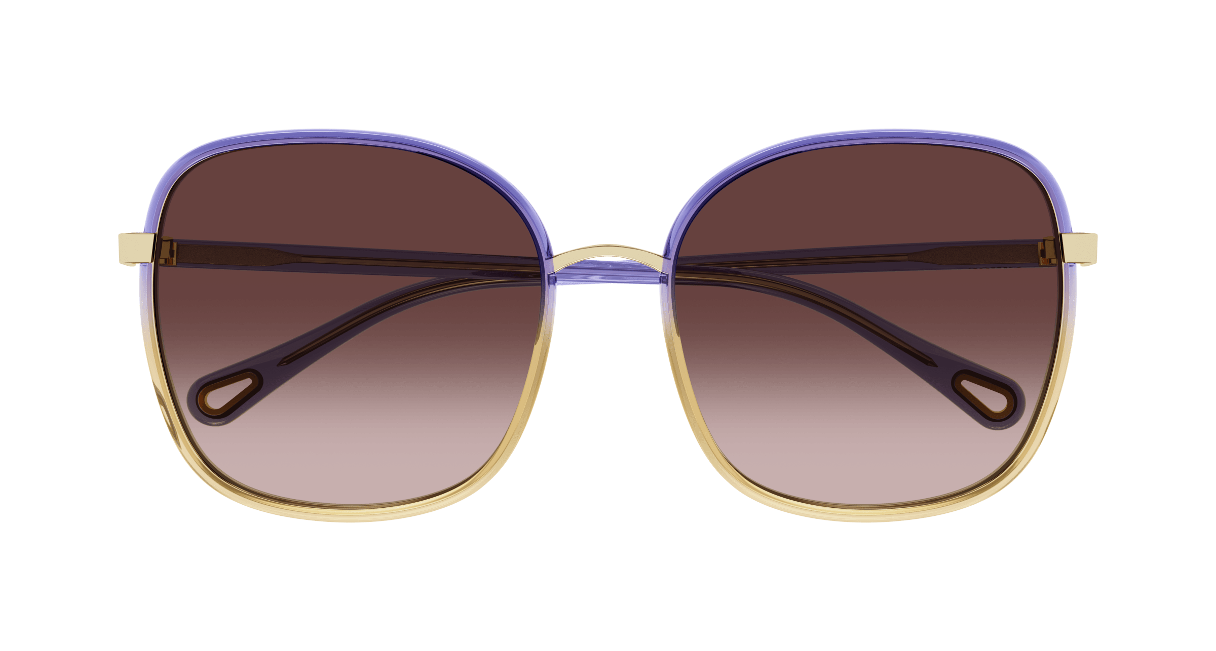 CHLOÉ CH0031S 017 59