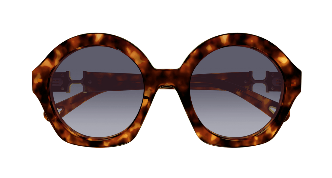 Sonnenbrillen chloé ch0302s 002 havana round femenino größe 53mm - Detailansicht