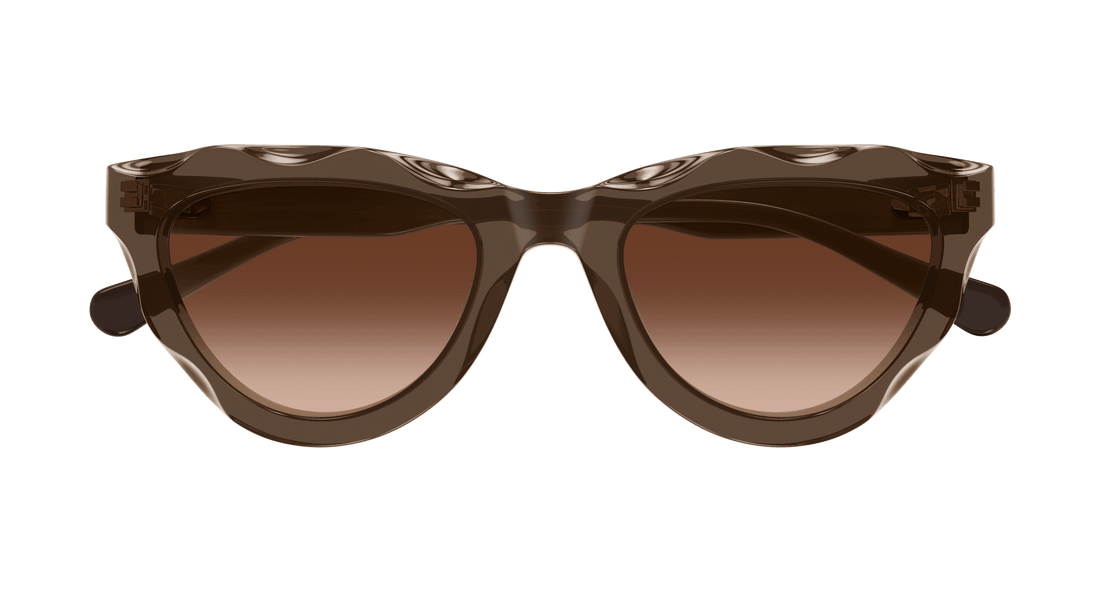 Lunettes de soleil chloé ch0294s 003 marron cat eye femenino taille 52mm - Vue détaillée
