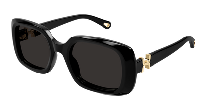 CHLOÉ CH0333S 001 53