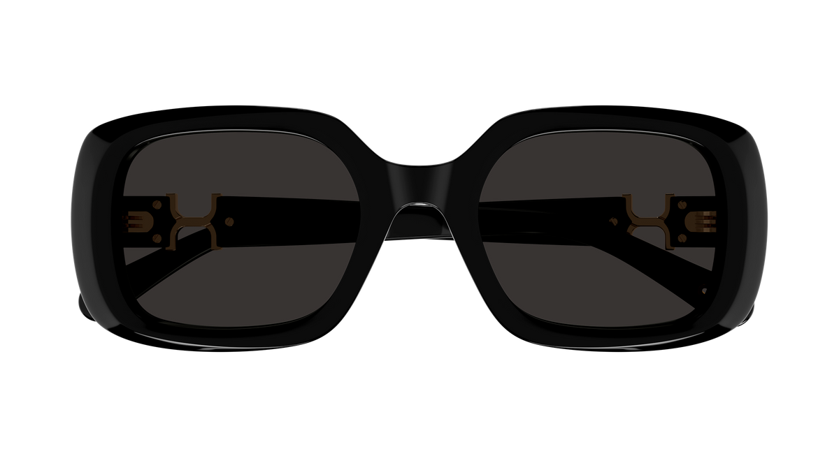 CHLOÉ CH0333S 001 53