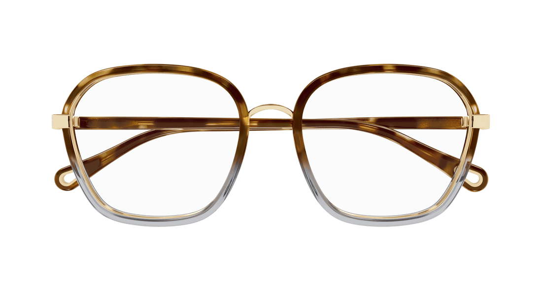 Óculos graduados chloé ch0309o 003 havana square femenino tamanho 54mm - Vista de detalhe