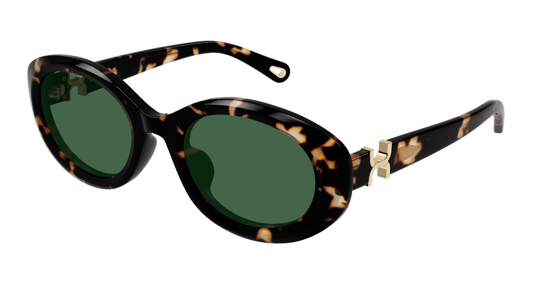 Sunglasses chloé ch0323sk 002 havana round/oval/panthos femenino size 54mm - Main view