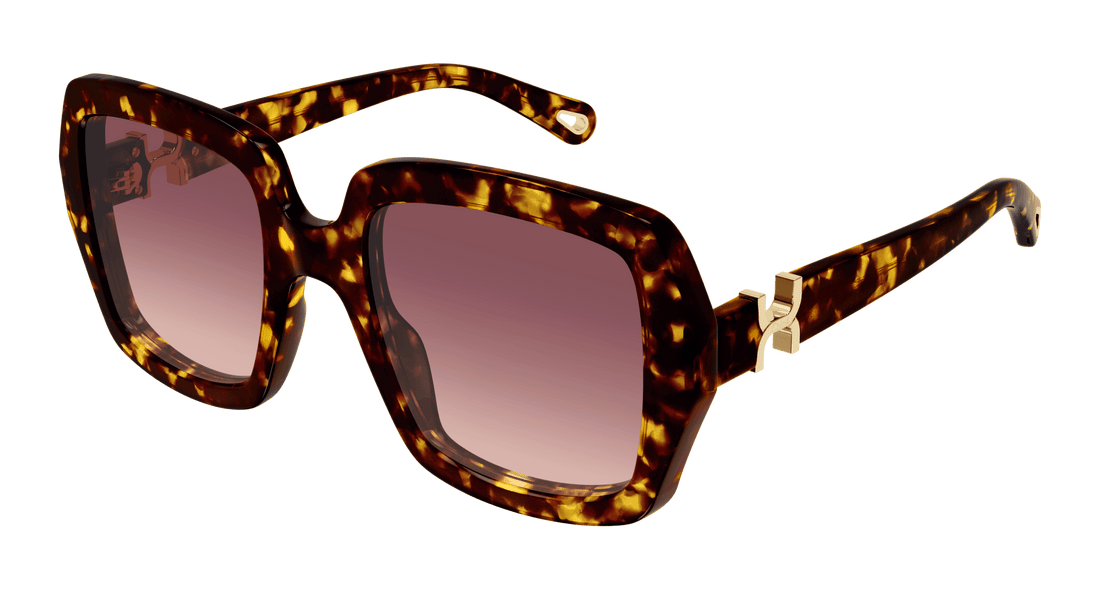 Sonnenbrillen chloé ch0301s 002 havana square femenino größe 52mm - Hauptansicht