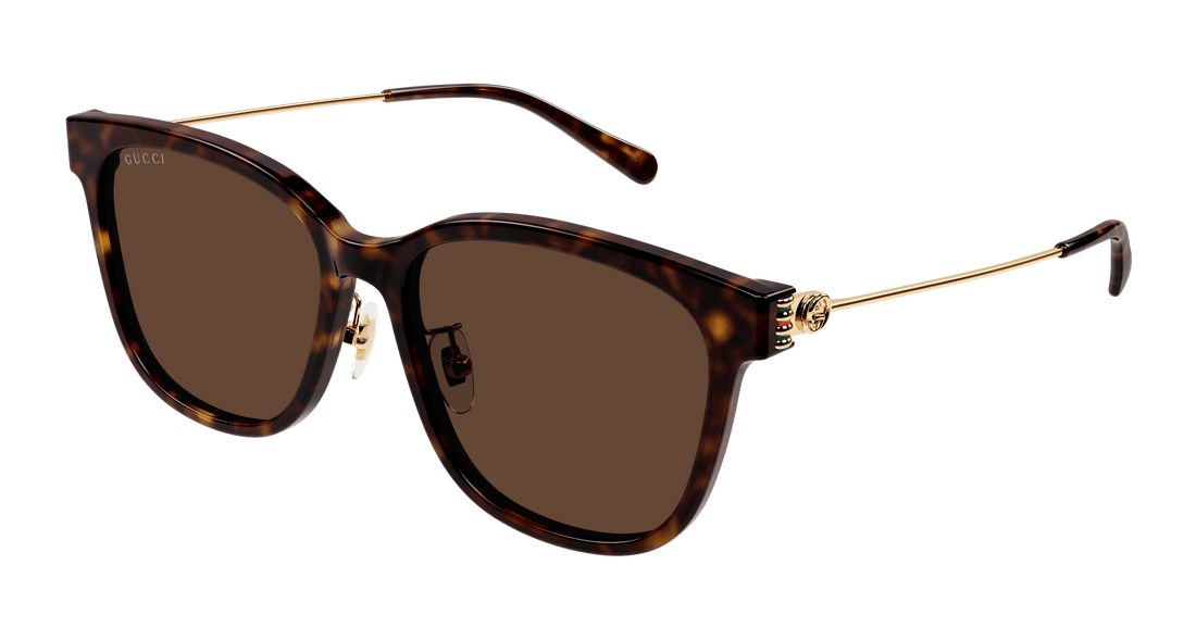 Sonnenbrillen gucci gg1884sk 002 havana round femenino größe 56mm - Hauptansicht