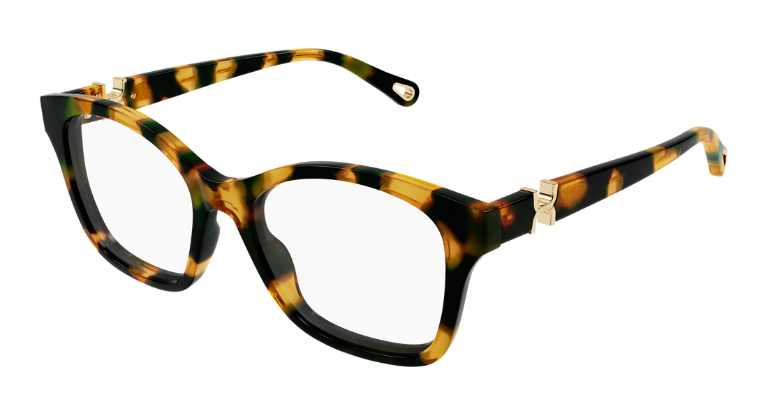 Briller chloé ch0334o 007 havana cat eye femenino størrelse 52mm - Hovedvisning