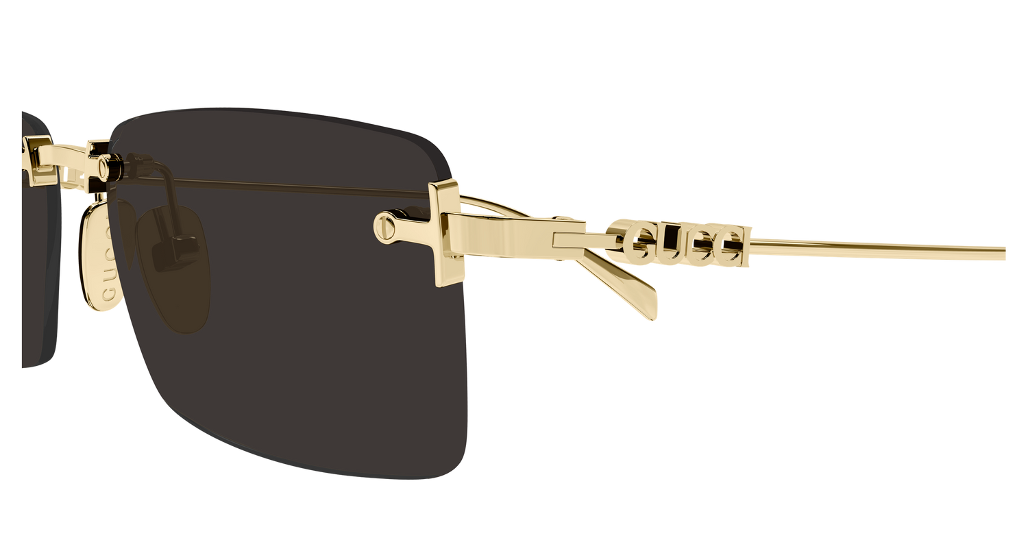 GUCCI GG1941S 001 56