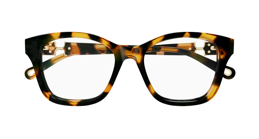 Briller chloé ch0334o 007 havana cat eye femenino størrelse 52mm - Detaljeret visning
