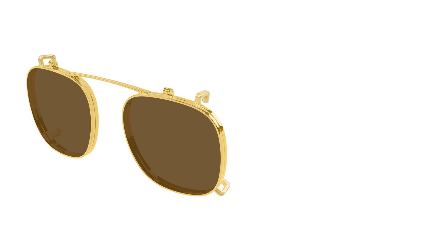 Bottega Veneta BV1429S 002 49