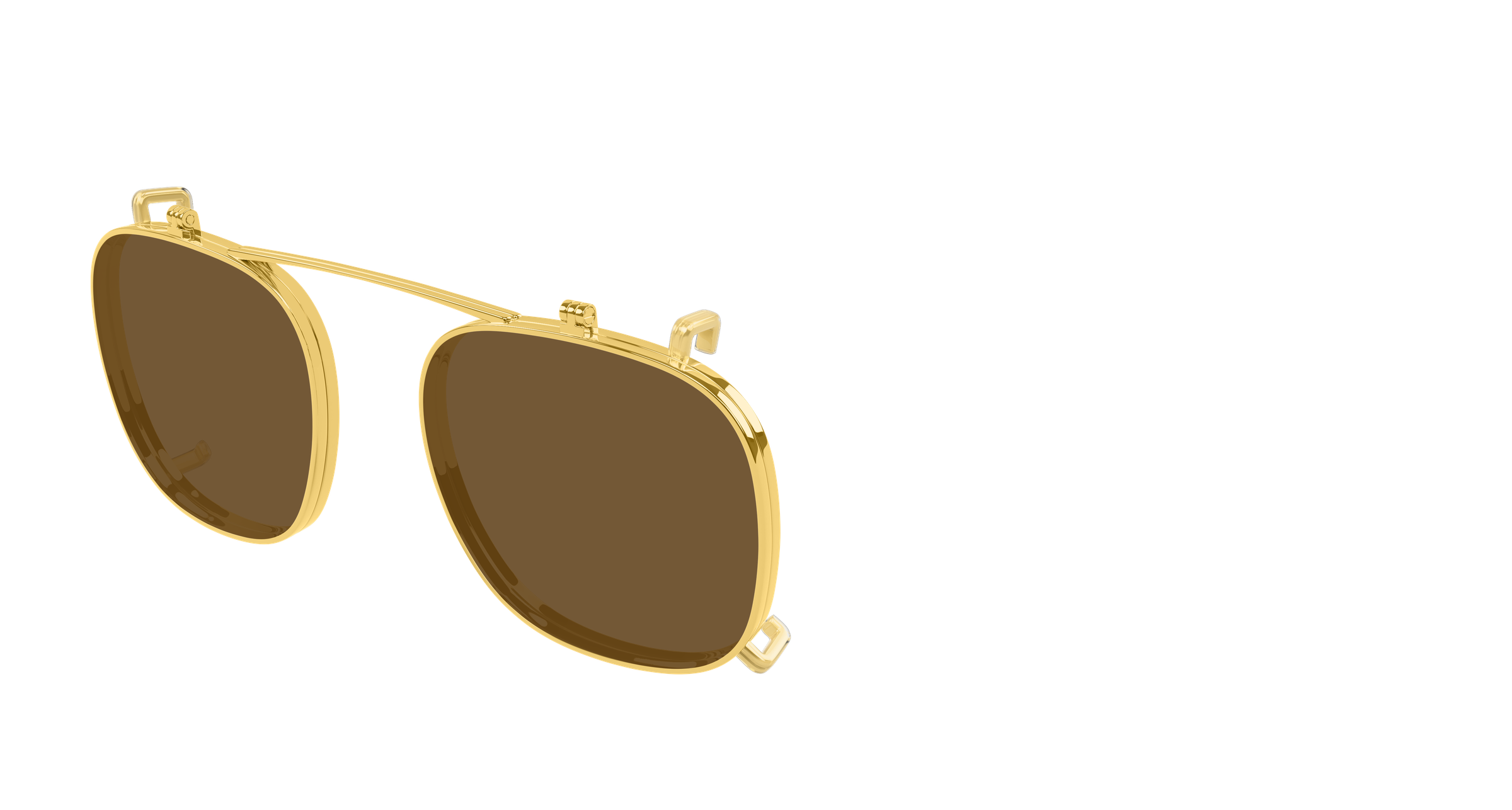 Bottega Veneta BV1429S 002 49