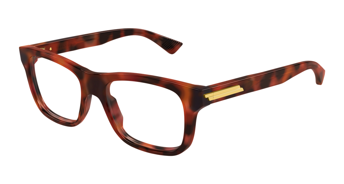 Glasögon bottega veneta bv1412o 006 havana rectangular / squared masculino storlek 54mm - Huvudvy