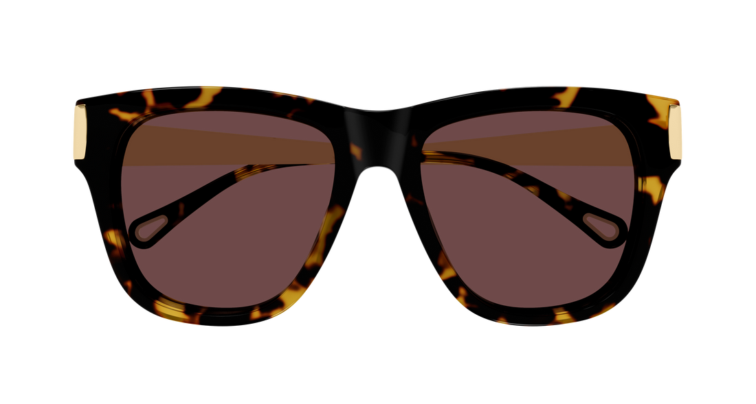 Sunčane naočale chloé ch0349s 003 havana cat eye femenino veličina 54mm - Detaljni prikaz