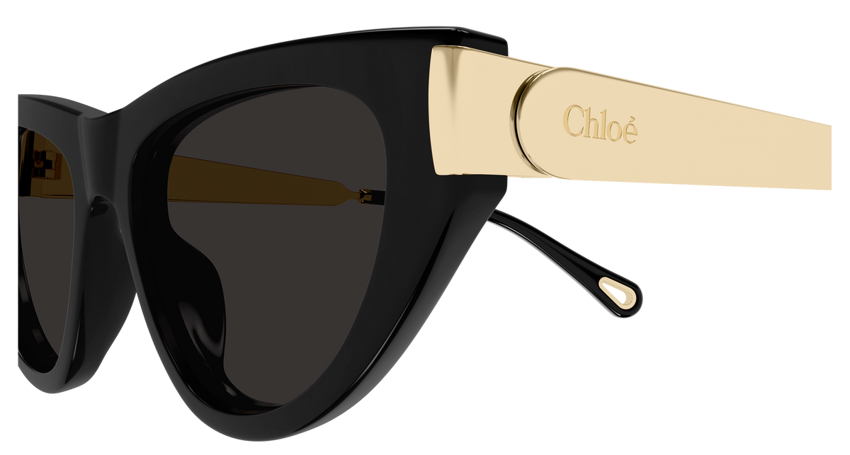 CHLOÉ CH0350S 001 54