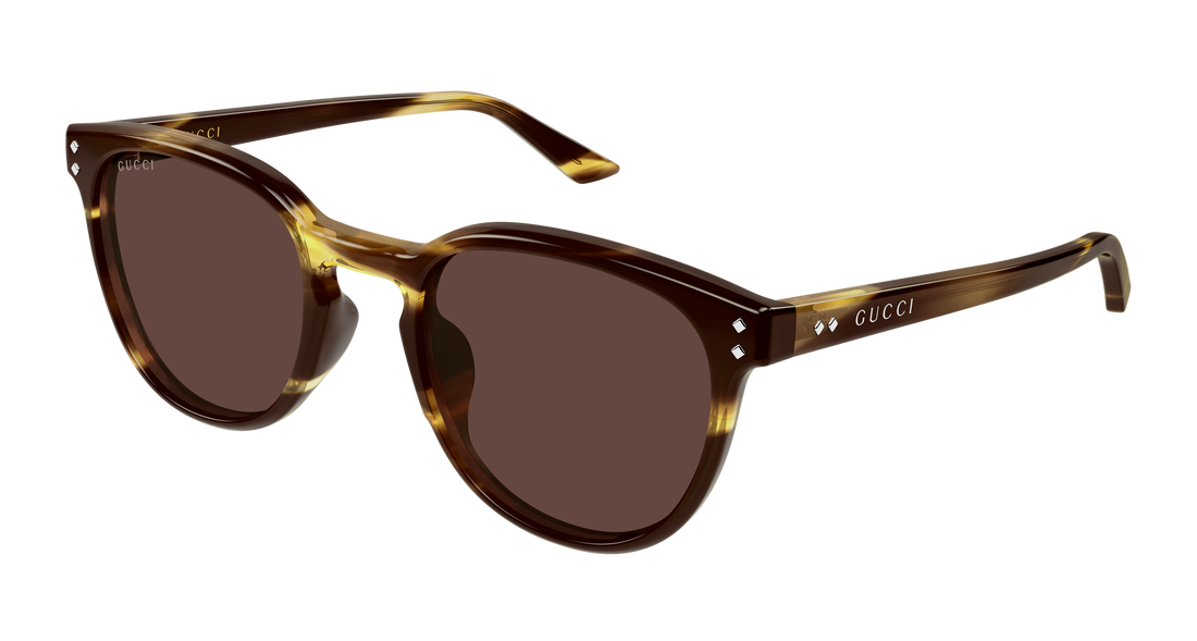 Lunettes de soleil gucci gg2134sa 002 havana round/oval/panthos masculino taille 54mm - Vue principale