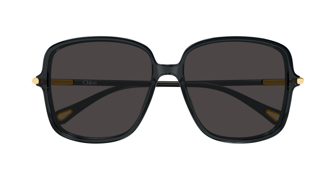 Óculos de sol chloé ch0396s 001 gris rectangular / squared femenino tamanho 57mm - Vista de detalhe
