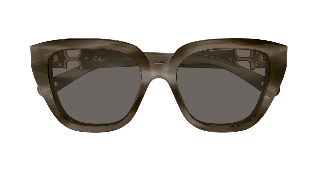 Óculos de sol chloé ch0410s 002 havana cat eye femenino tamanho 53mm - Vista de detalhe