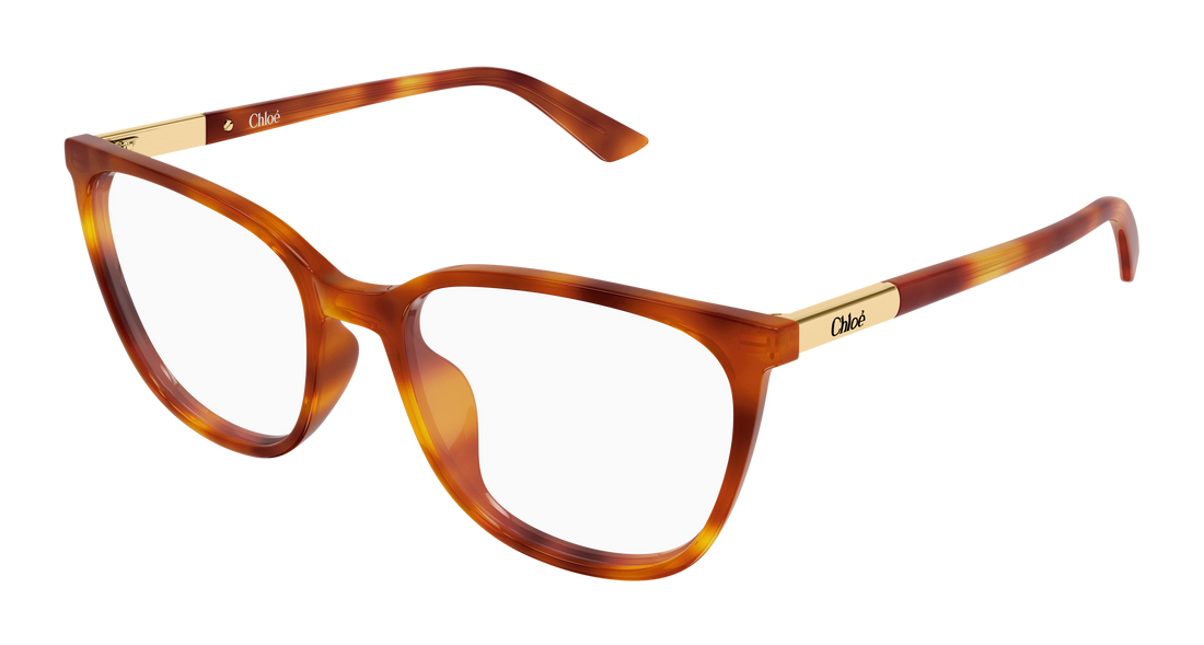 Lunettes de vue chloé ch0370ol 007 havana cat eye femenino taille 56mm - Vue principale