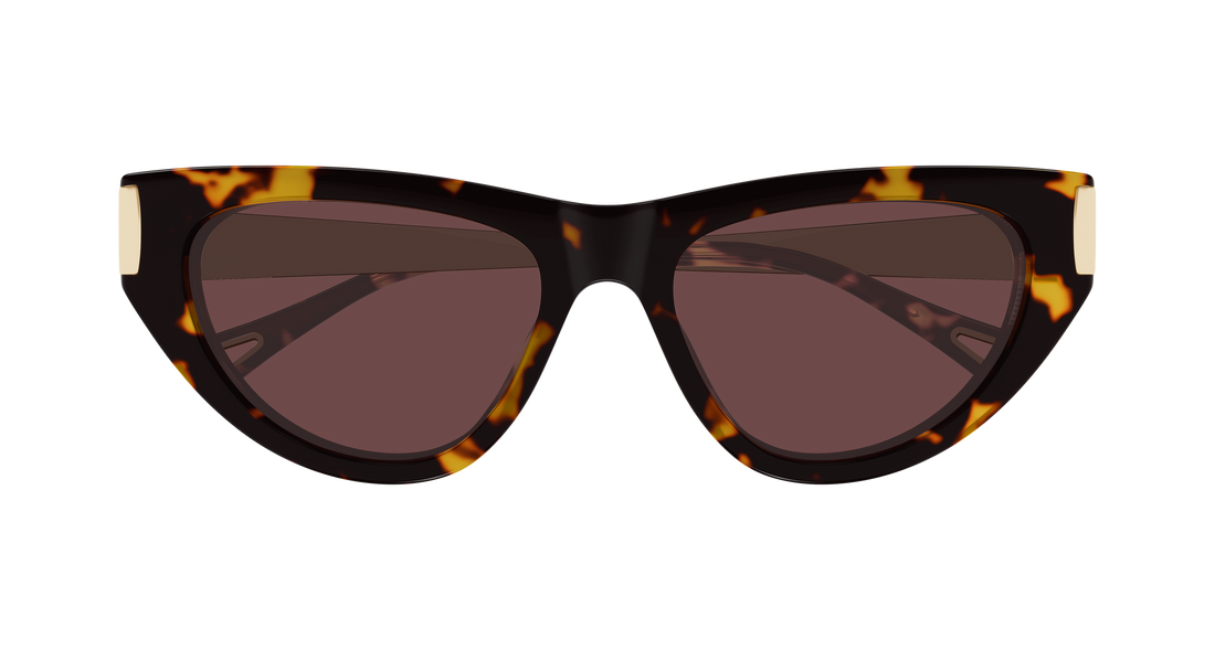 Sunčane naočale chloé ch0350s 003 havana cat eye femenino veličina 54mm - Detaljni prikaz