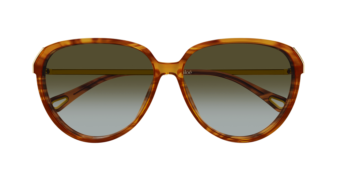 Solbriller chloé ch0406s 003 havana round/oval/panthos femenino størrelse 59mm - Detaljeret visning