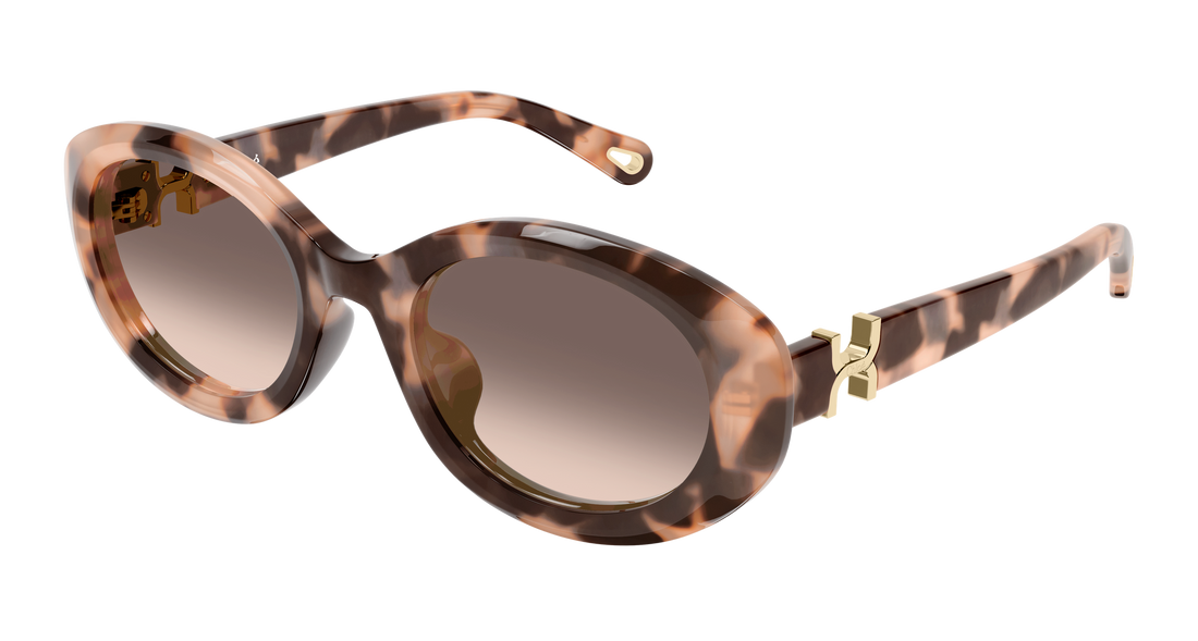 Óculos de sol chloé ch0323sk 006 havana round/oval/panthos femenino tamanho 54mm - Vista principal