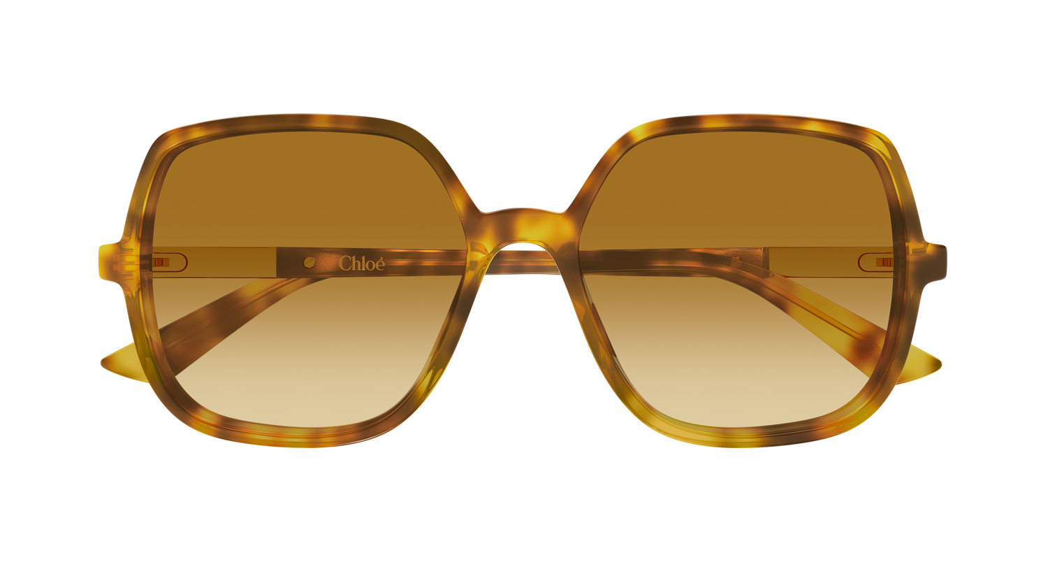 CHLOÉ CH0362S 004 55