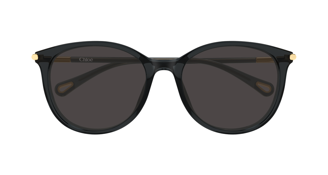 Óculos de sol chloé ch0397sk 001 gris round/oval/panthos femenino tamanho 56mm - Vista de detalhe