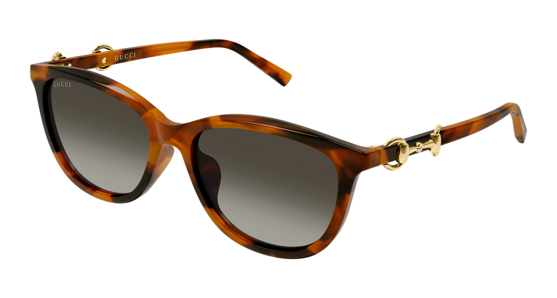 Solbriller gucci gg2220sk 002 havana round/oval/panthos femenino størrelse 56mm - Hovedvisning