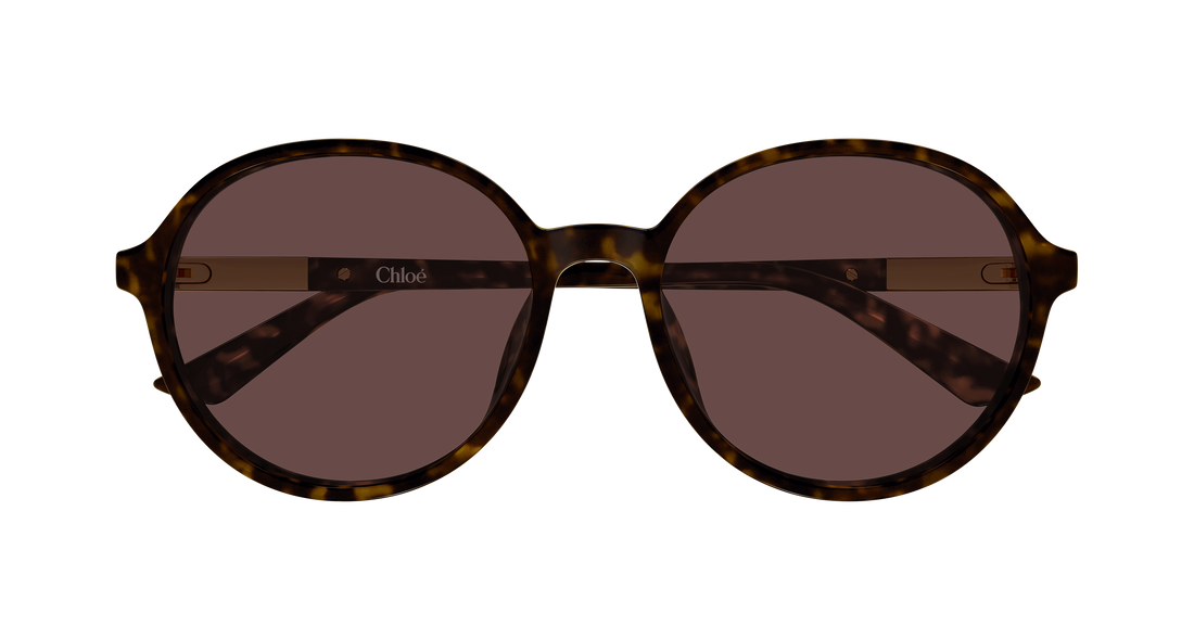 Óculos de sol chloé ch0365sk 002 havana round/oval/panthos femenino tamanho 57mm - Vista de detalhe