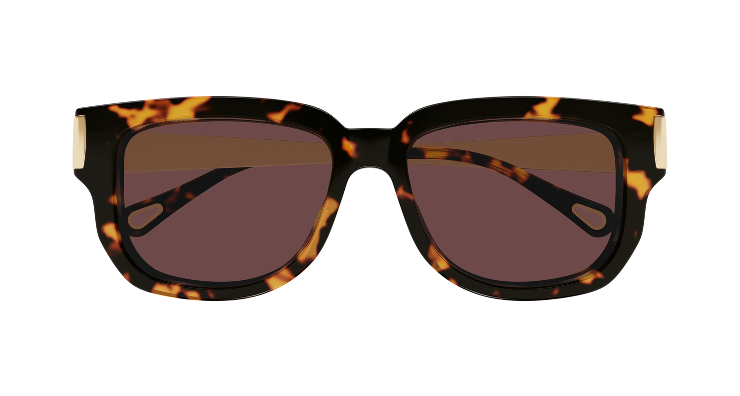 CHLOÉ CH0351S 003 54