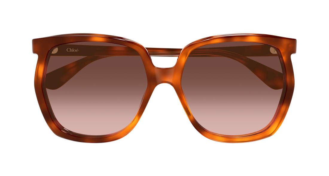 Solglasögon chloé ch0389s 002 havana rectangular / squared femenino storlek 61mm - Detaljvy