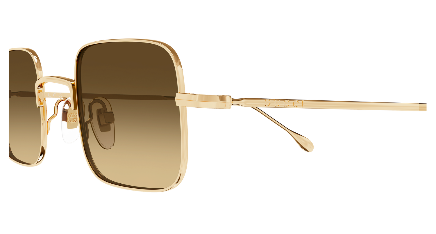 GUCCI GG1813S 009 43