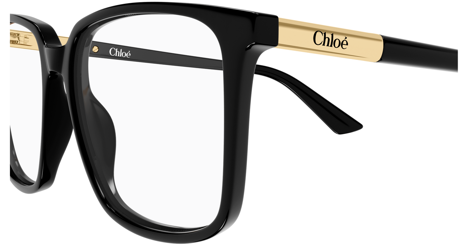 CHLOÉ CH0369O 001 55