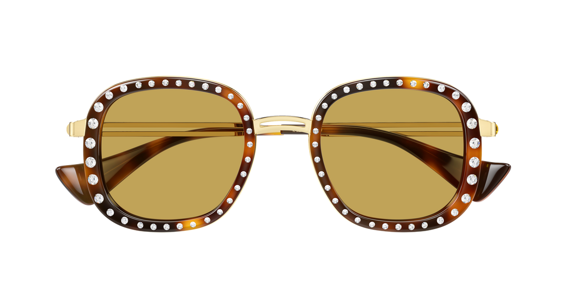Solglasögon valentino vg0062s 005 havana round/oval/panthos femenino storlek 47mm - Detaljvy