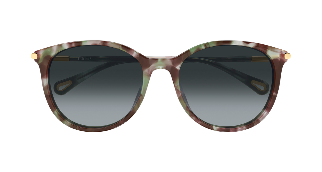 Óculos de sol chloé ch0397sk 004 havana round/oval/panthos femenino tamanho 56mm - Vista de detalhe