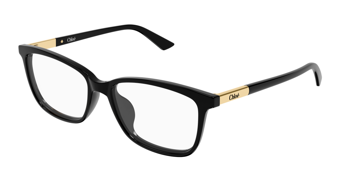 Lunettes de vue chloé ch0371oa 001 negro butterfly femenino taille 55mm - Vue principale