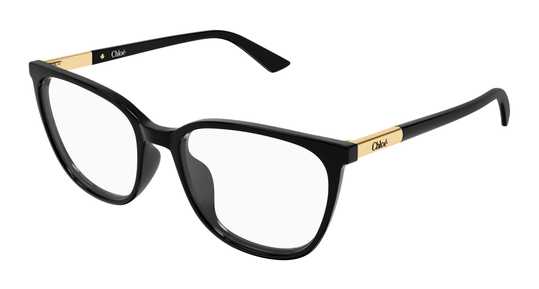 Lunettes de vue chloé ch0370ol 001 negro cat eye femenino taille 53mm - Vue principale