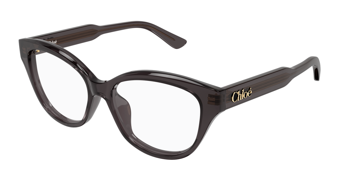 Brillen chloé ch0381ol 001 gris cat eye femenino größe 51mm - Hauptansicht