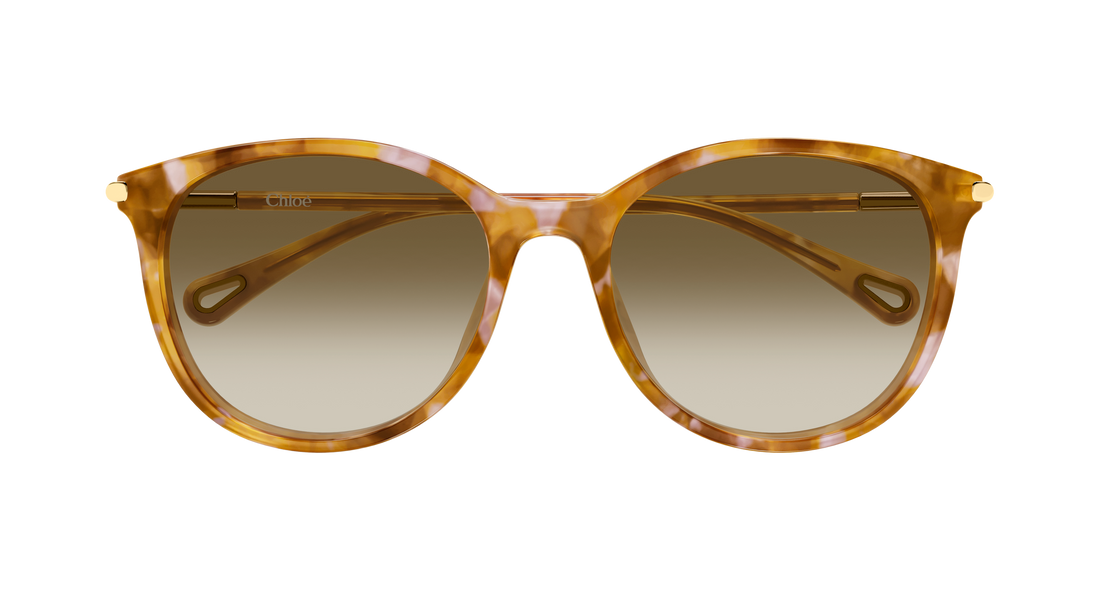 Óculos de sol chloé ch0397sk 003 havana round/oval/panthos femenino tamanho 56mm - Vista de detalhe