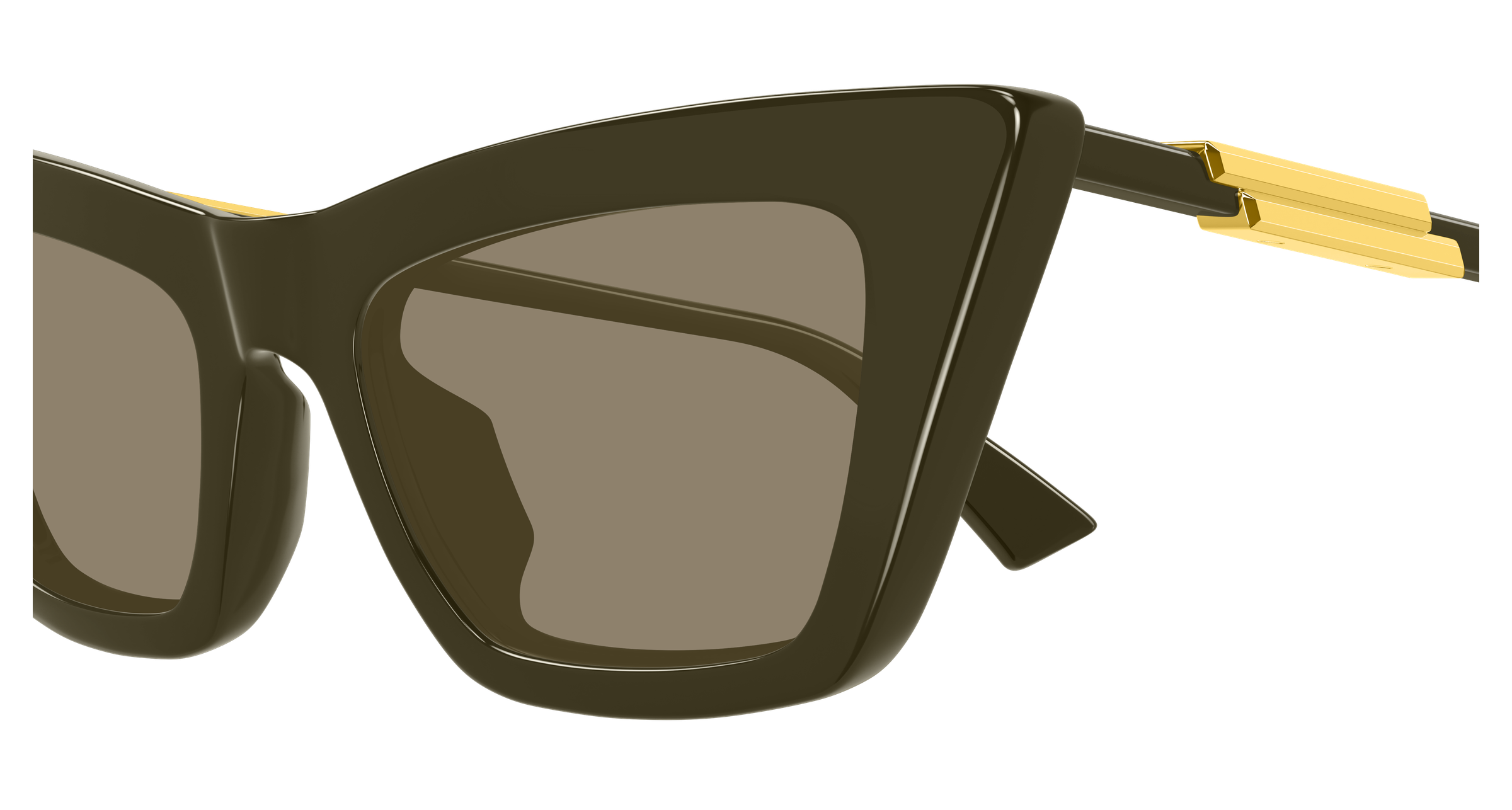 Bottega Veneta BV1446S 005 53