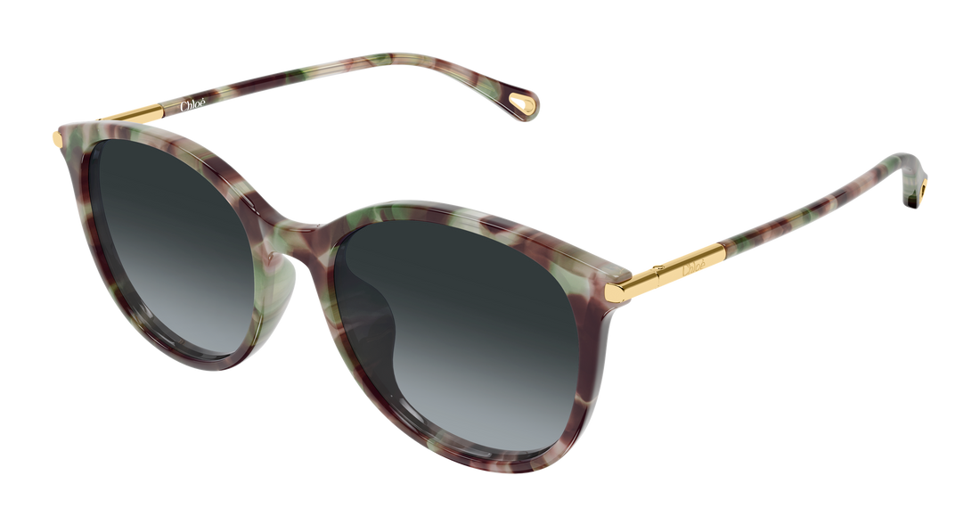 Óculos de sol chloé ch0397sk 004 havana round/oval/panthos femenino tamanho 56mm - Vista principal