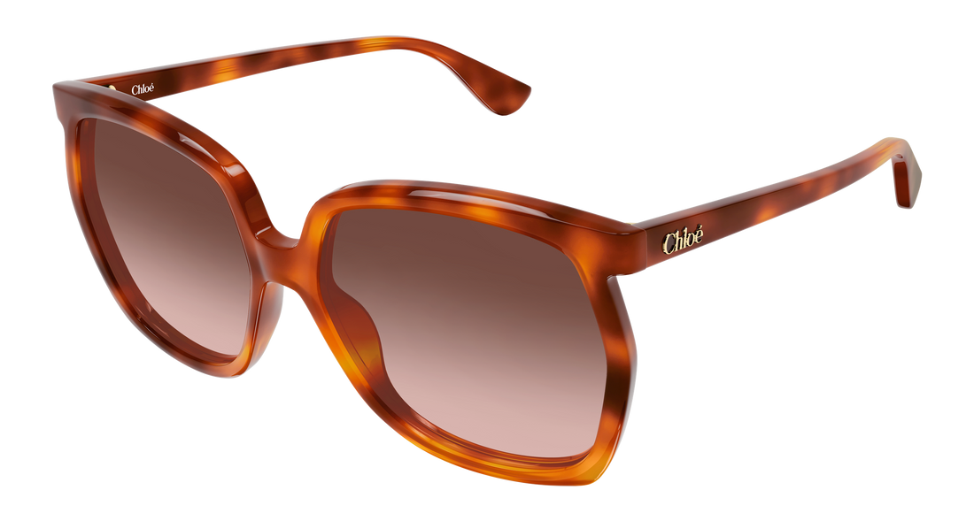 Solglasögon chloé ch0389s 002 havana rectangular / squared femenino storlek 61mm - Huvudvy