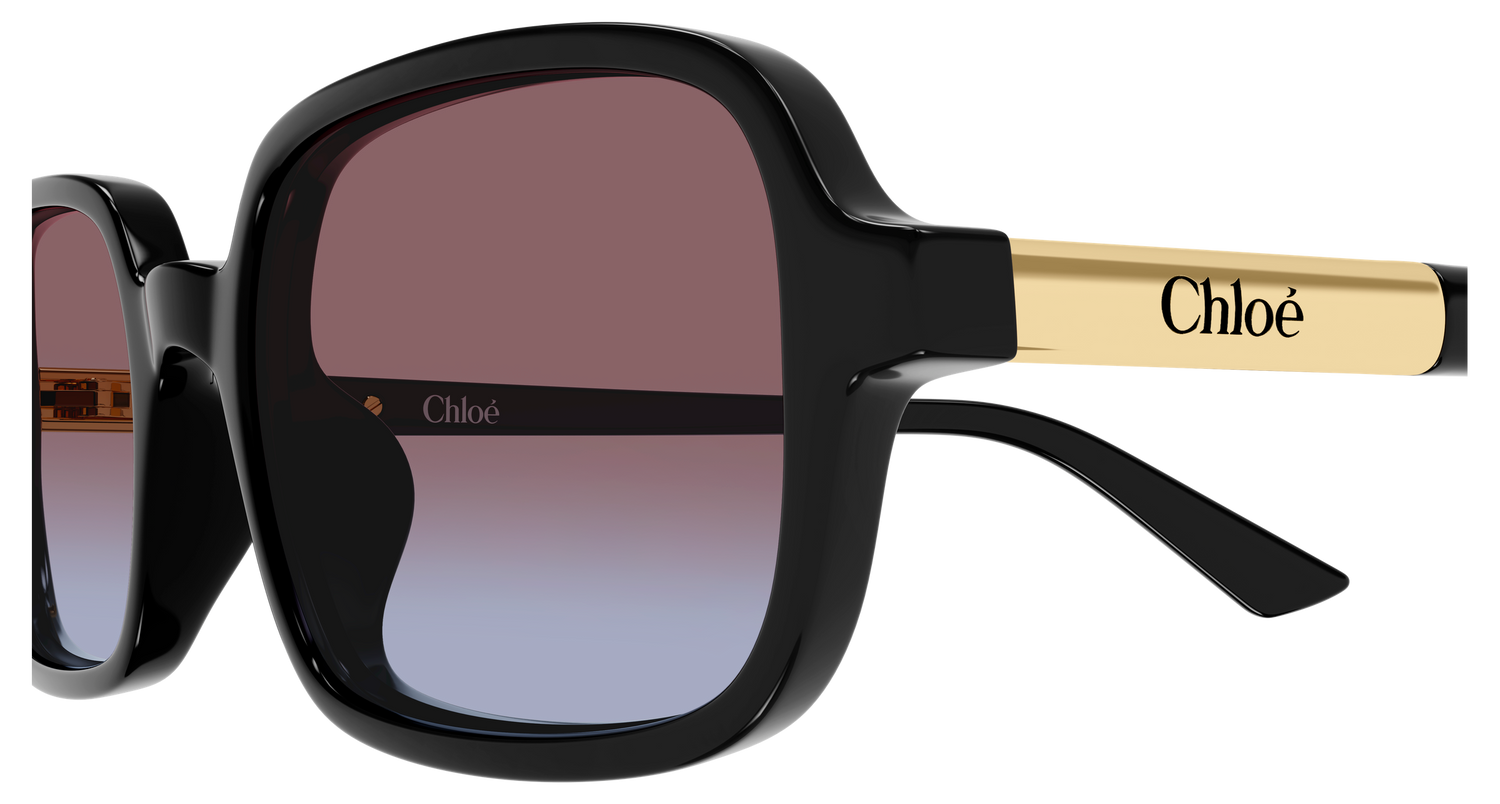 CHLOÉ CH0363S 001 53