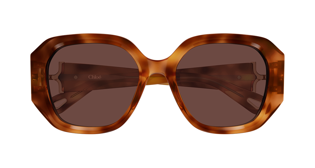 Occhiali da sole chloé ch0236s 006 havana rectangular / squared femenino taglia 56mm - Vista dettagliata
