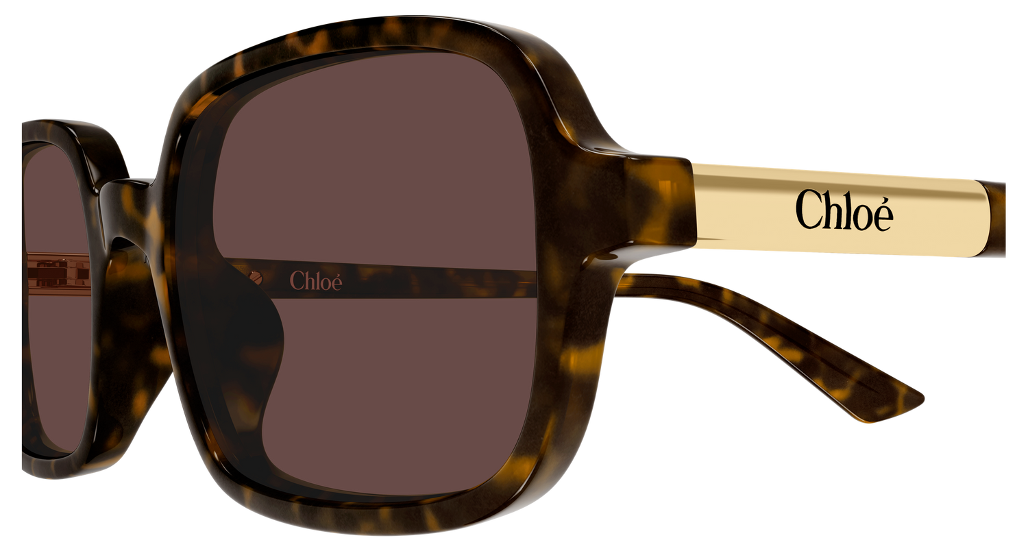 CHLOÉ CH0363S 002 53