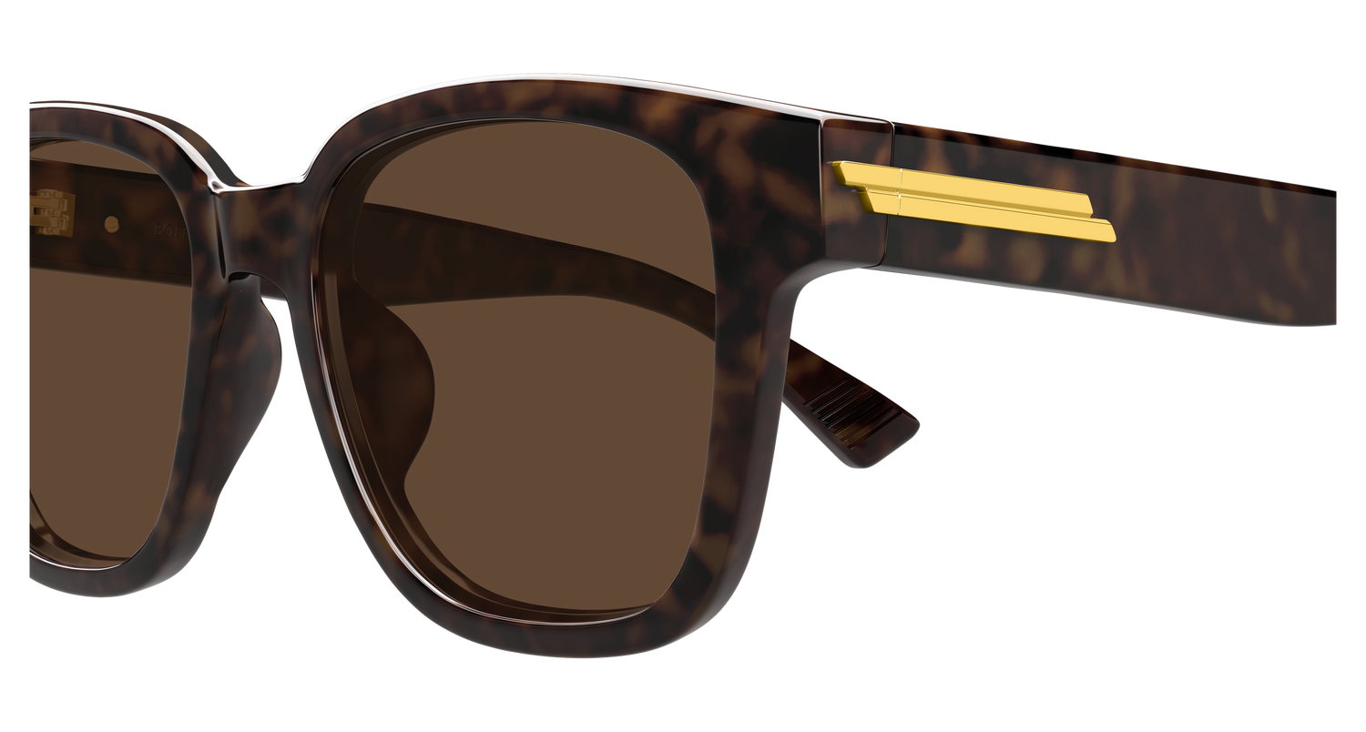 Bottega Veneta BV1461SK 002 54