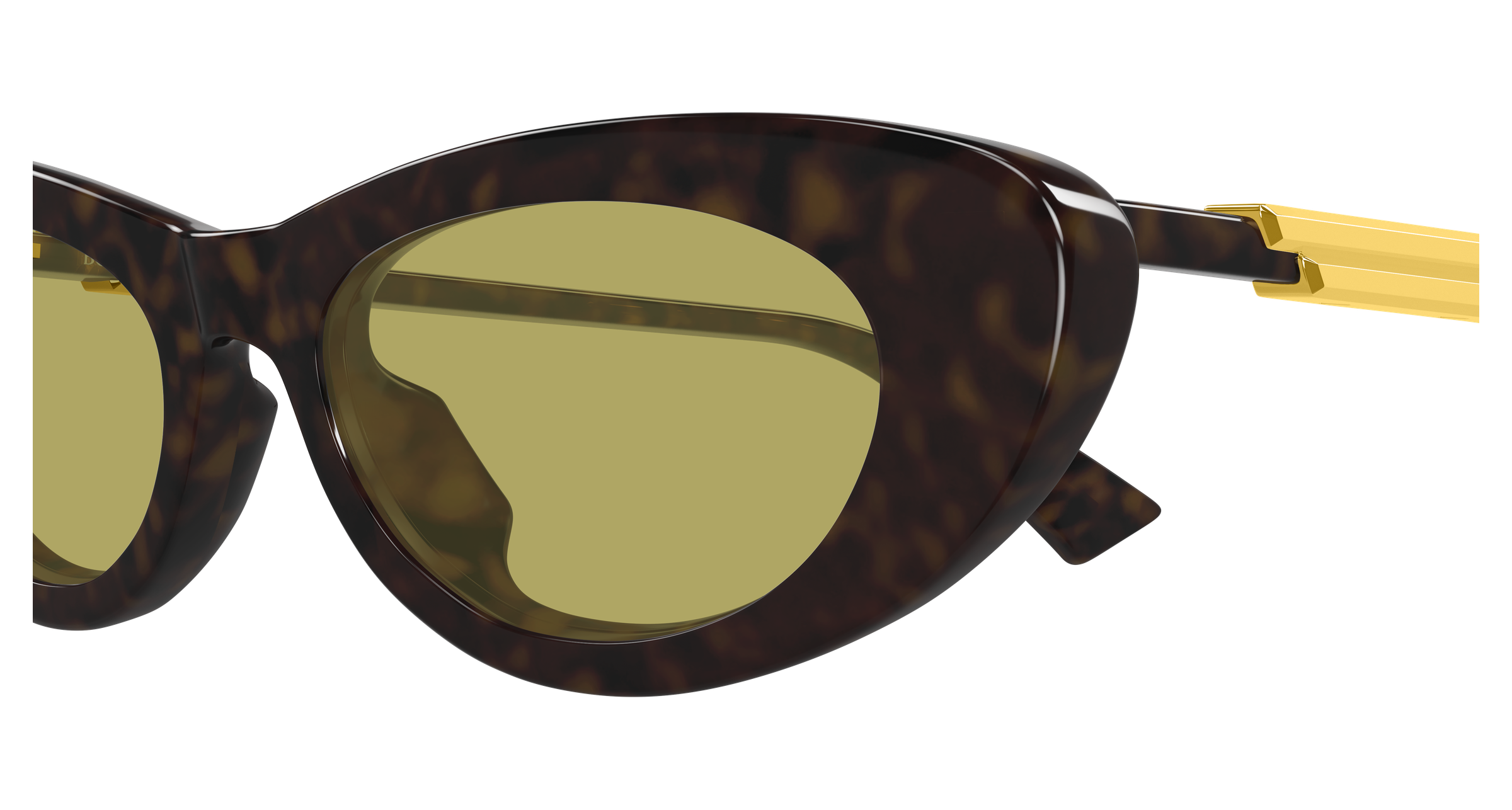Bottega Veneta BV1447S 002 51