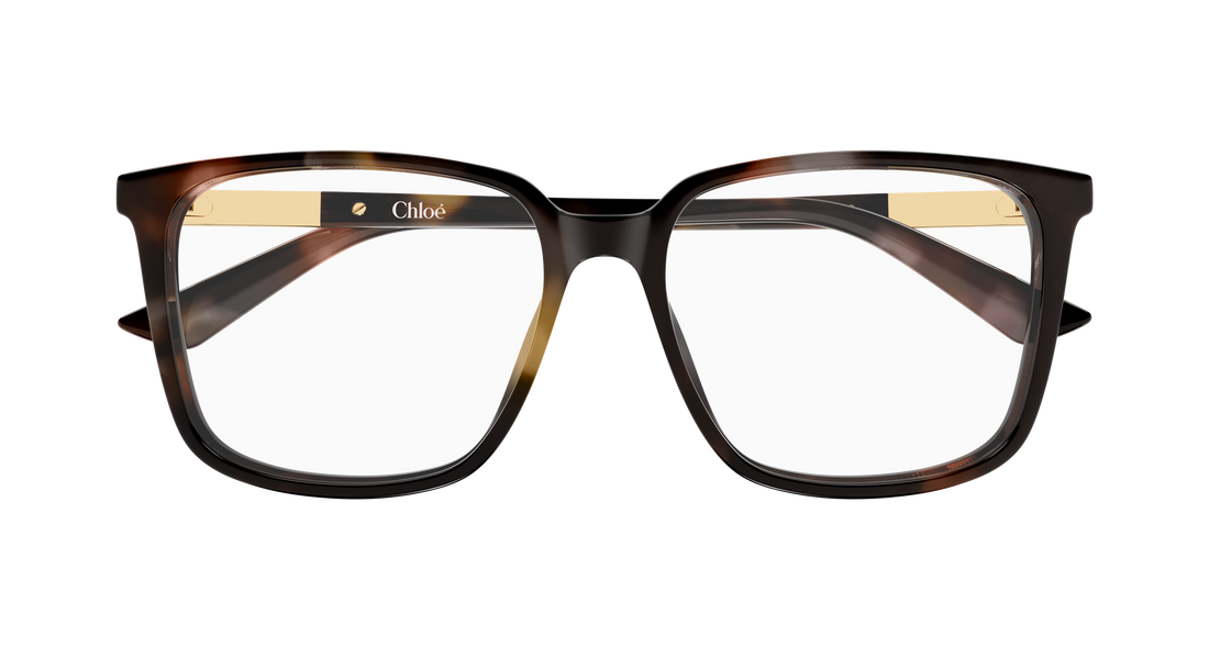 Lunettes de vue chloé ch0369o 003 havana rectangular / squared femenino taille 55mm - Vue détaillée