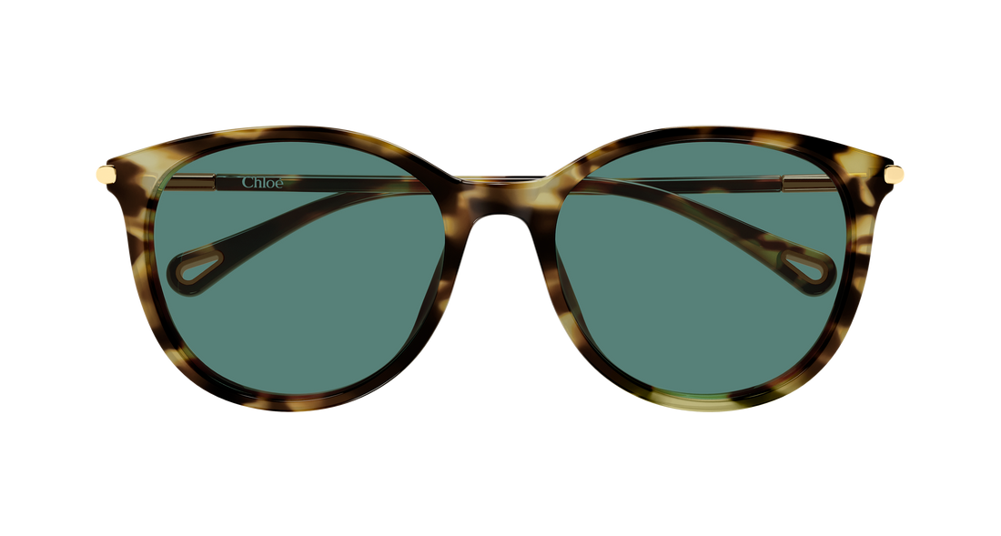 Óculos de sol chloé ch0397sk 002 havana round/oval/panthos femenino tamanho 56mm - Vista de detalhe