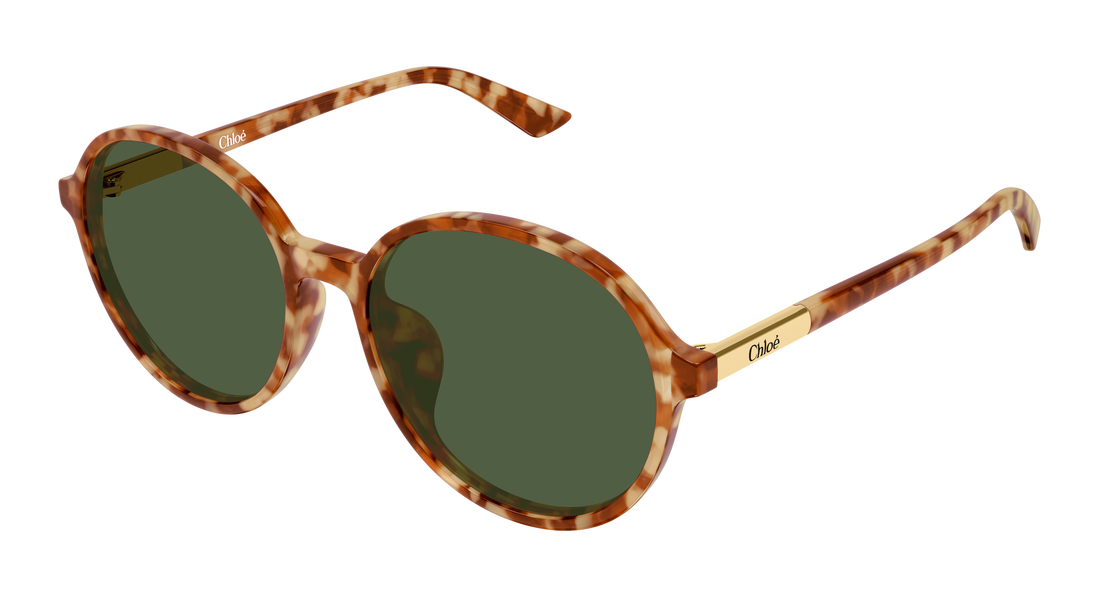 Óculos de sol chloé ch0365sk 004 havana round/oval/panthos femenino tamanho 57mm - Vista principal